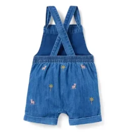 Baby Embroidered Tiger Overall