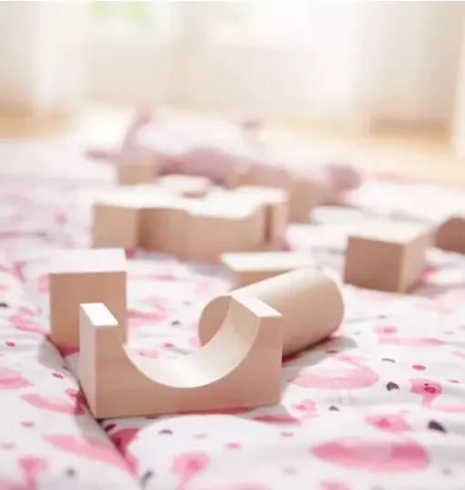 Basic Building Blocks 26 Piece Starter Set