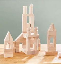 Basic Building Blocks 60 Piece Large Starter Set