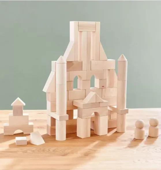 Basic Building Blocks 60 Piece Large Starter Set