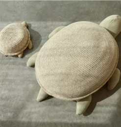 Basket Baby Turtle