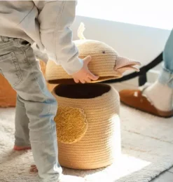 Basket Charlie the Chicken