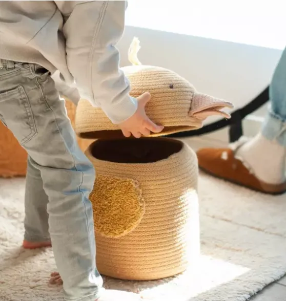 Basket Charlie the Chicken