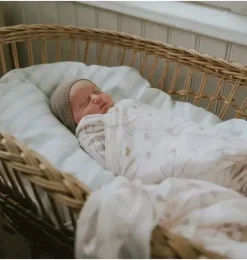 Bows & Butterfly Kisses Swaddle - Pink