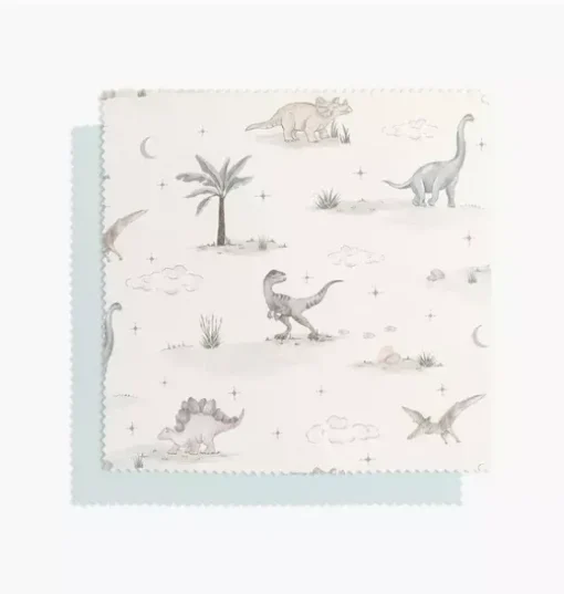 Dino Dreams Twin Set - Sage