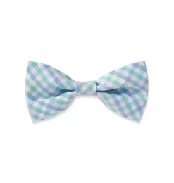 Dog Bow Tie in Spring Gingham