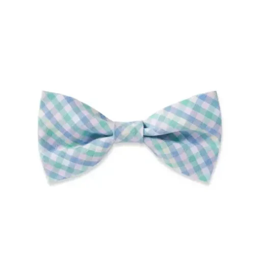 Dog Bow Tie in Spring Gingham