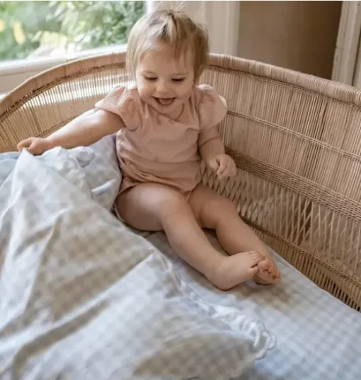 Picnic Gingham Baby Duvet Set - Blue