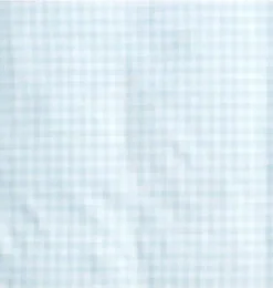 Picnic Gingham Crib Sheet - Blue