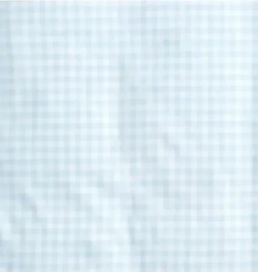 Picnic Gingham Crib Sheet - Blue