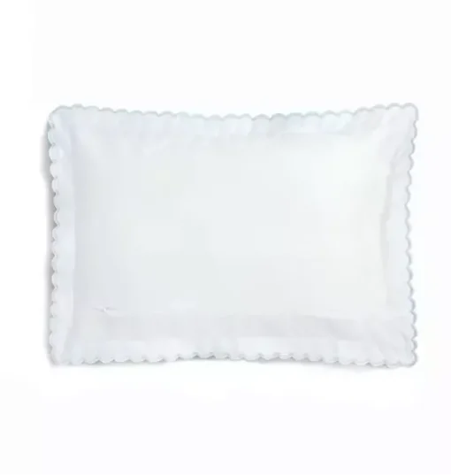 Picnic Gingham Toddler Pillow Set - Blue