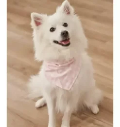 Pink Gingham Dog Bandana