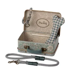 Puppy supply, Accessories - Blue