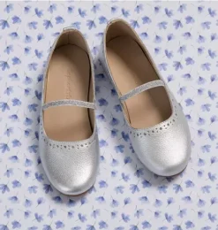 Sasha Ballerina Flat Silver