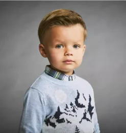 Snow Scenic Sweater