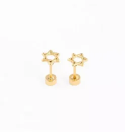 Star Of David Stud Earrings