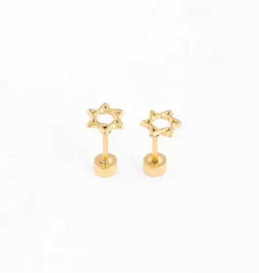 Star Of David Stud Earrings