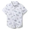 The Poplin Shirt