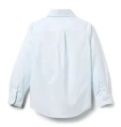 The Striped Oxford Shirt