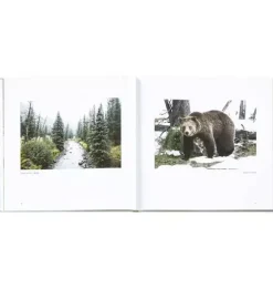 Yellowstone: A Land of Wild and Wonder LEATHER EDITION