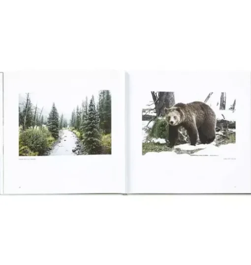 Yellowstone: A Land of Wild and Wonder LEATHER EDITION