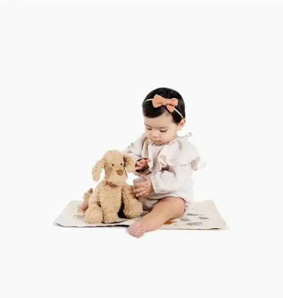 Animal Alphabet Changing Mat