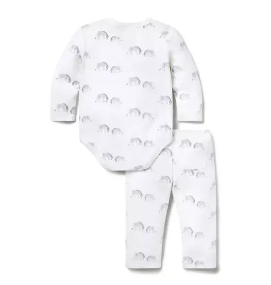 Baby Zebra Wrap Matching Set