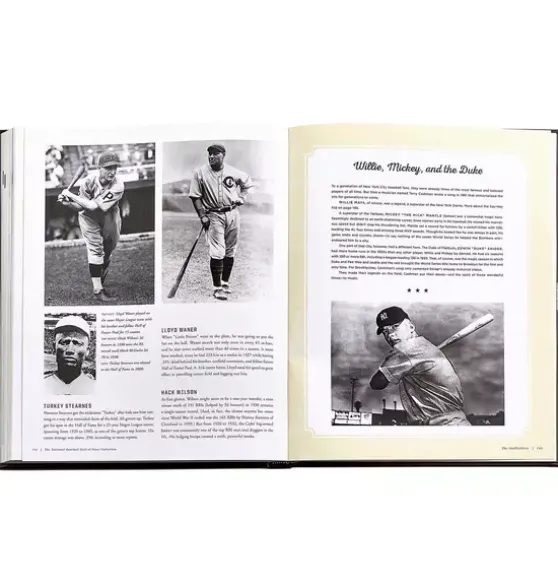 BASEBALL HALL OF FAME LEATHER EDITION