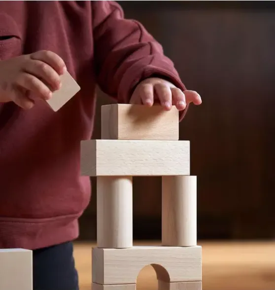 Basic Building Blocks 60 Piece Large Starter Set