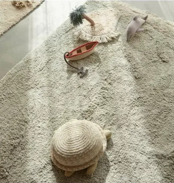 Basket Baby Turtle