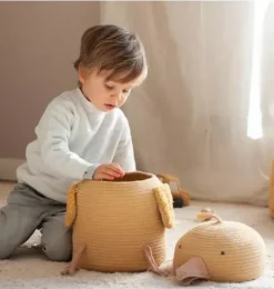 Basket Charlie the Chicken