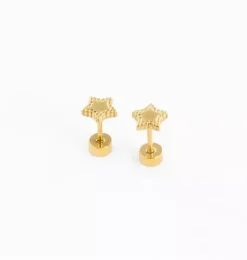 Beaded Star Earring
