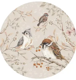 Birds in a Circle Wall Decal Set