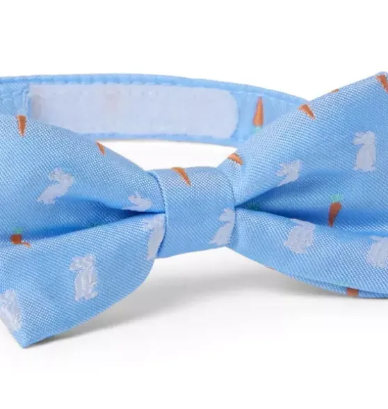 Bunny Bowtie