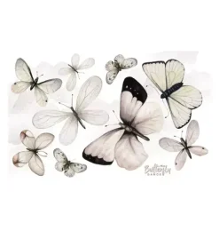 Butterfly Dance Wall Decal Set