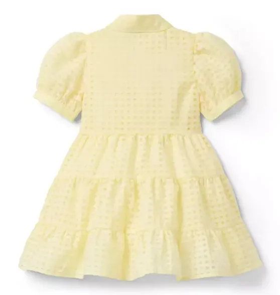 Checked Organza Dress