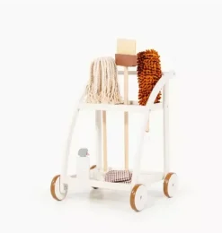 Cleaning Cart