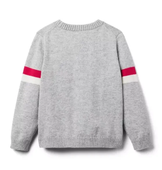 Dinosaur Heart Sweater