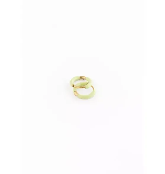 Enamel Hoop Earrings