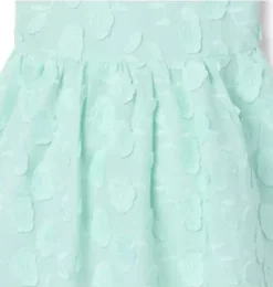 Floral Appliqué Dress