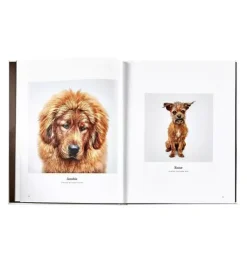 GOOD DOG LEATHER EDITION