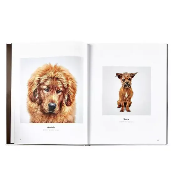 GOOD DOG LEATHER EDITION