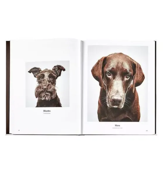 GOOD DOG LEATHER EDITION