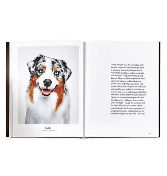 GOOD DOG LEATHER EDITION