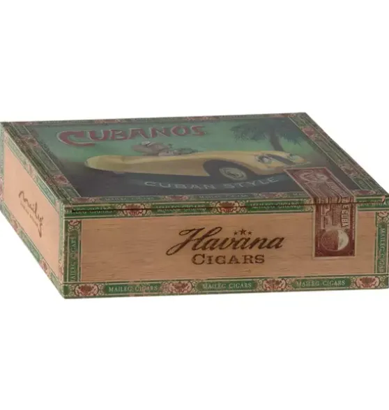 Grandma & Grandpa Mice in Cigarbox