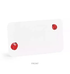 Ladybugs Little Notes&reg;