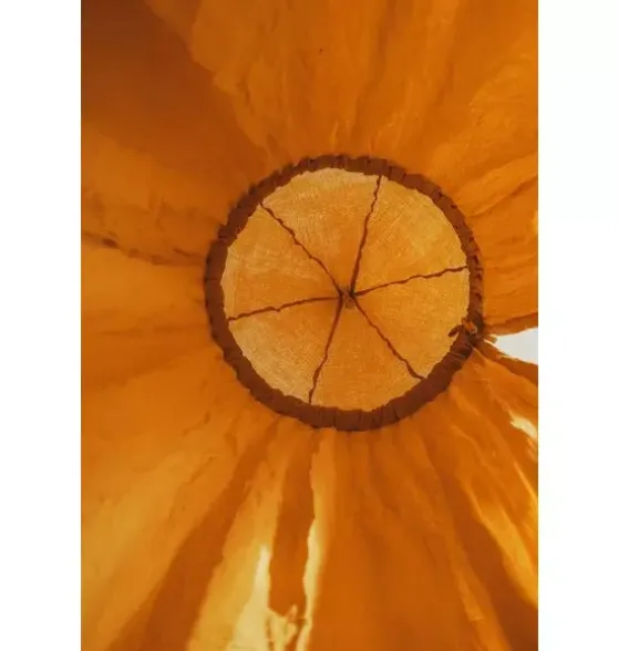 “Ochre” Canopy
