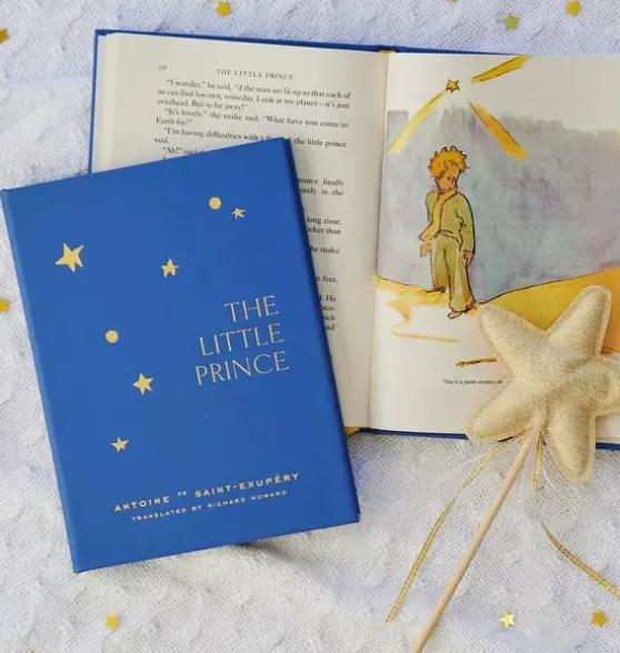 LITTLE PRINCE LEATHER EDITION