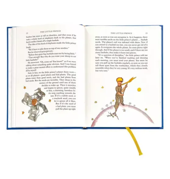LITTLE PRINCE LEATHER EDITION