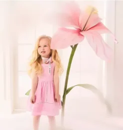 Pintuck Trim Dress